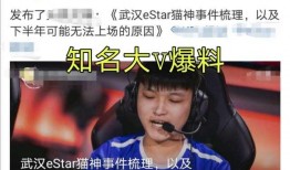 猫神最新爆料,揭秘电竞圈幕后风云